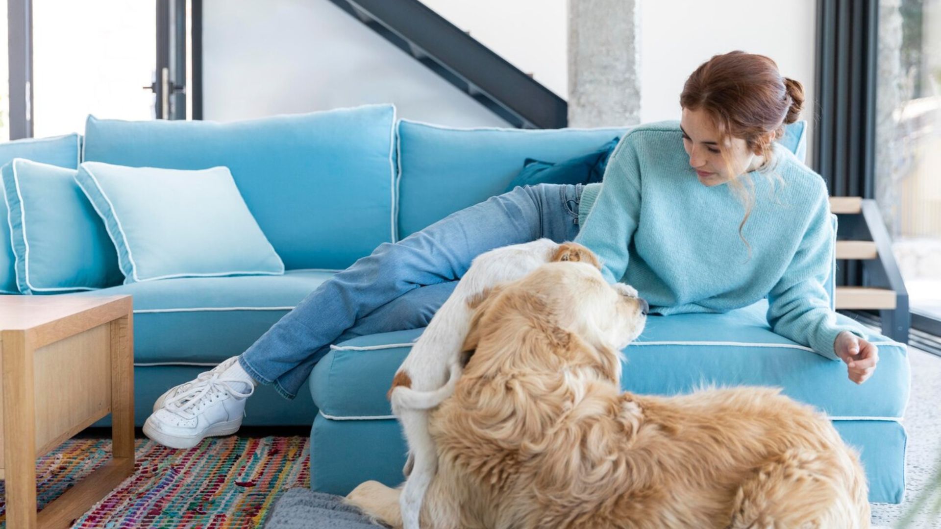 woman sitting on a couch whilst the pets are playing